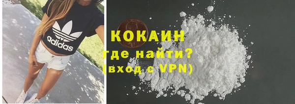 ALPHA PVP Елизово