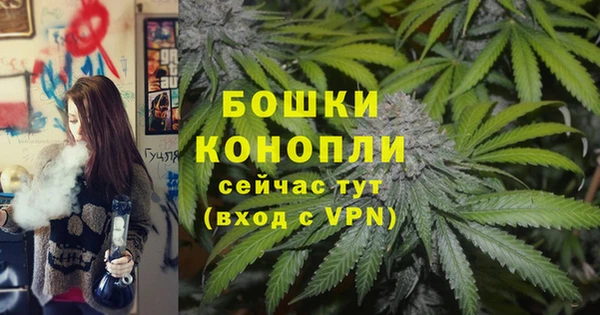 круглые Ельня