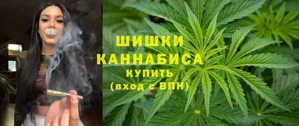 круглые Ельня